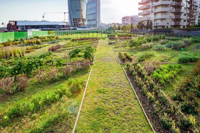 Orti urbani a Milano